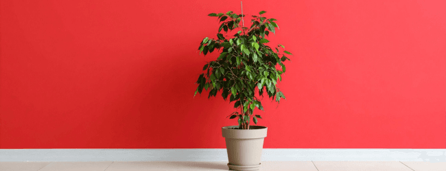 Sydney Units Are Quietly Entering Their Next Growth Phase